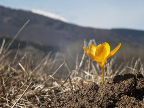 Novità intervenute nel corso del 2022