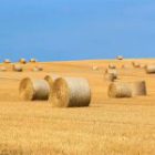 Rivalutazione annuale 2025